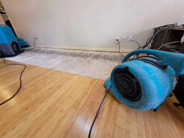 Professional Structural Drying technician working in Sahuarita, AZ
